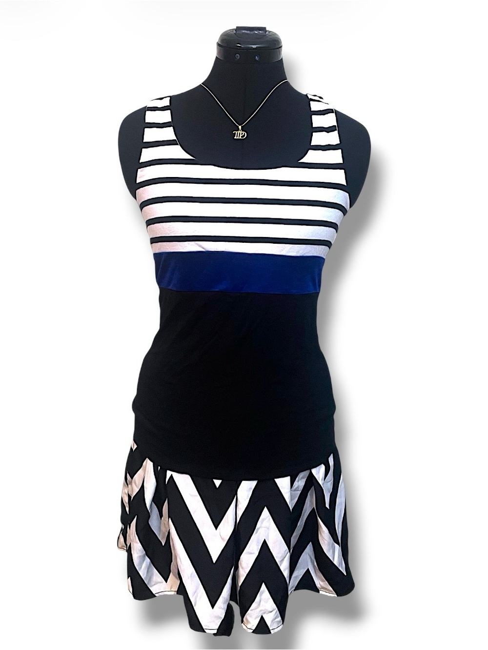 Express Black & White Striped Tank with Blue Purple Stripe